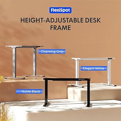 Flexispot E2