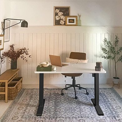 Flexispot EC5