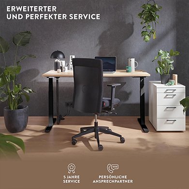 Boho Office Premium line