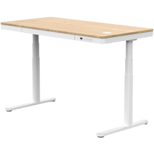 Flexispot Q3