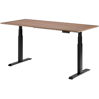 Ofinto Elevate
