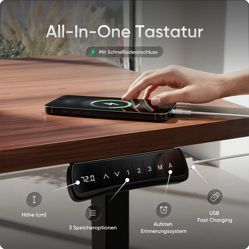 DESKSPACE PRO PLUS 6